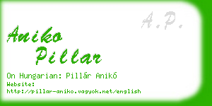 aniko pillar business card